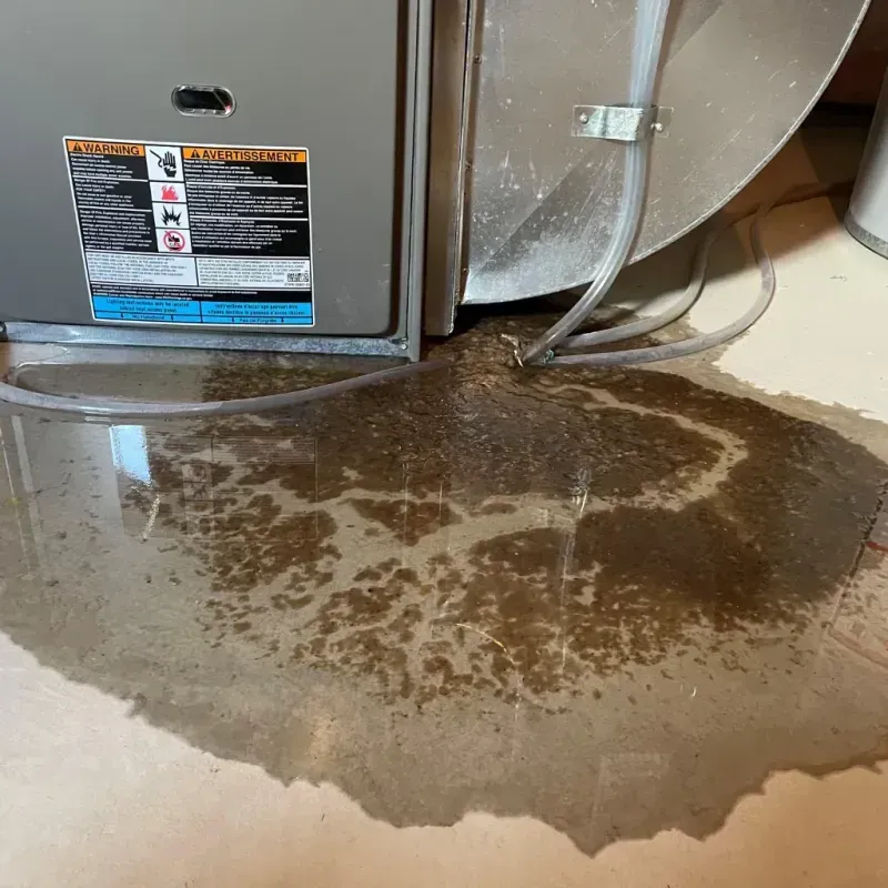 Appliance Leak Cleanup in Piney Green, NC